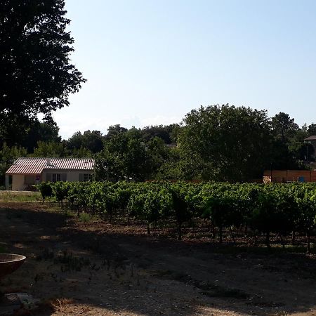 La Petite Maison Dans Les Vignes Chamaret Екстер'єр фото