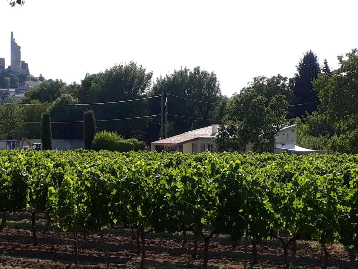 La Petite Maison Dans Les Vignes Chamaret Екстер'єр фото