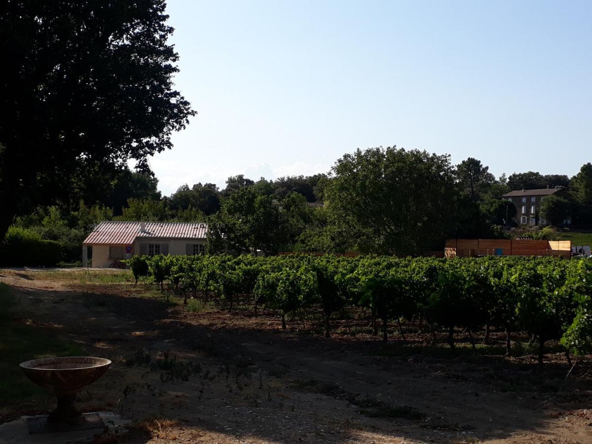 La Petite Maison Dans Les Vignes Chamaret Екстер'єр фото