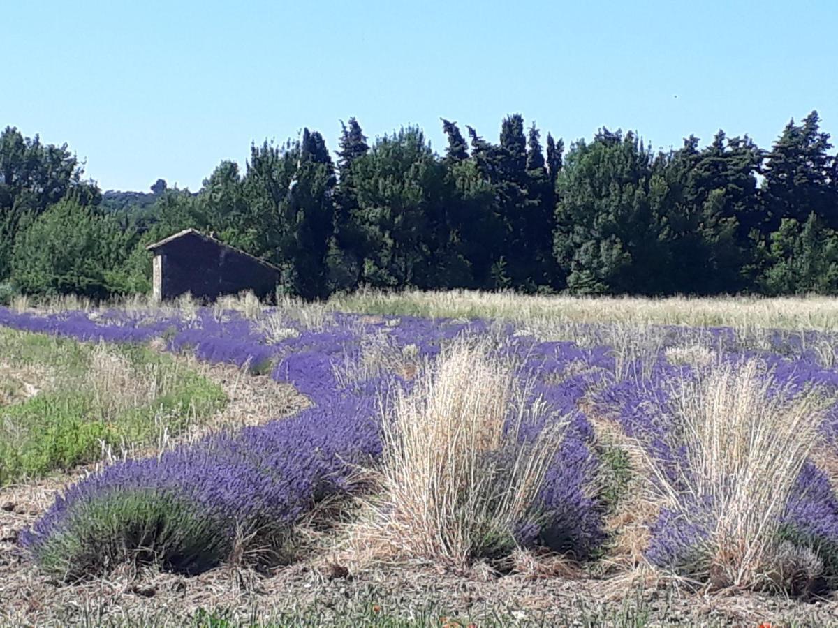 La Petite Maison Dans Les Vignes Chamaret Екстер'єр фото
